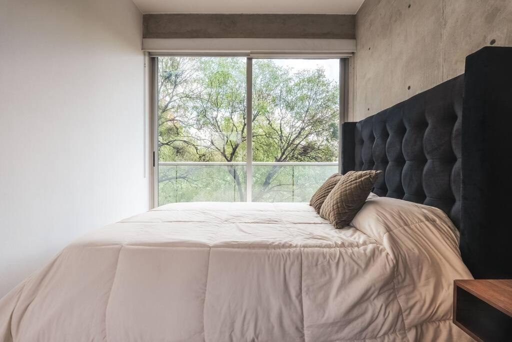 Apartamento Luxury In Condesa, High Speed Wifi